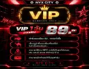 VIP 1 วัน